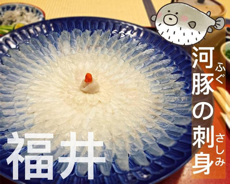 Re_福井.0 Re_福井.0