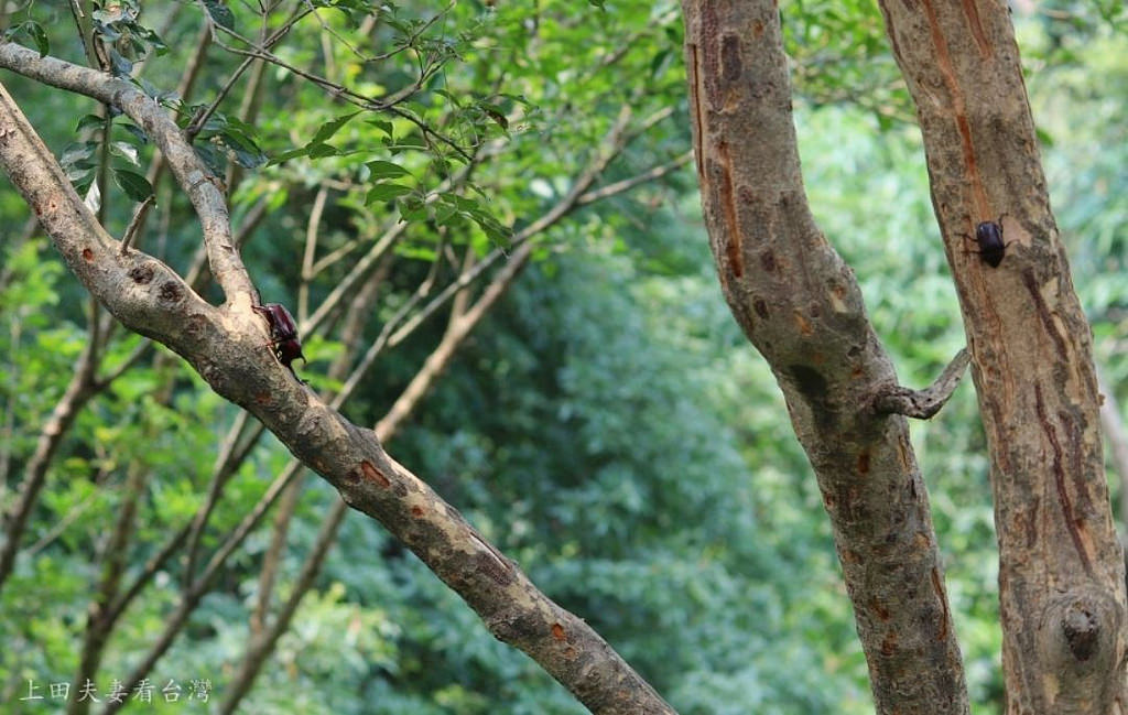 小ssIMG_0464 小ssIMG_0464